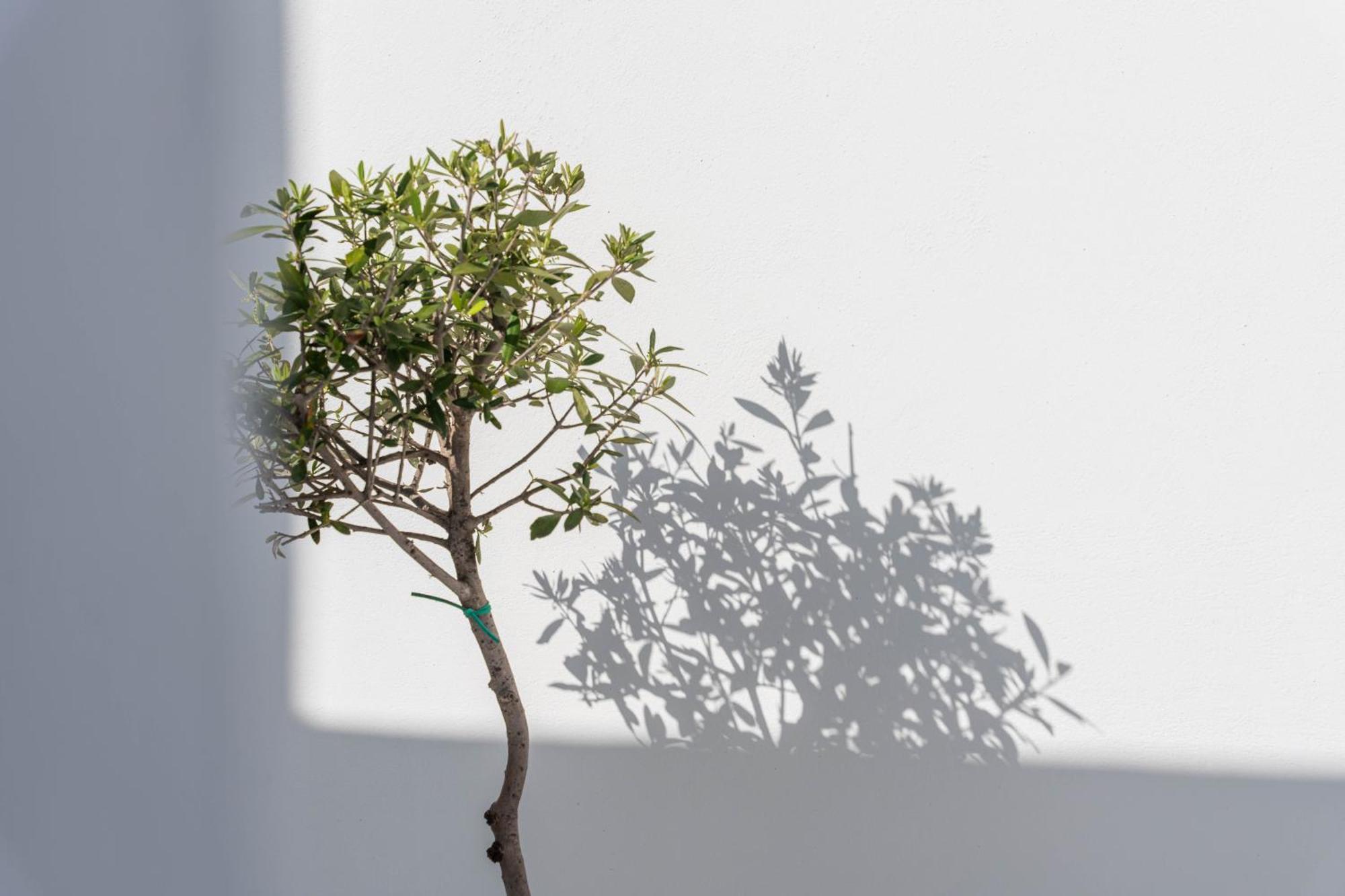 Cycladic Suites & Spa 费拉 外观 照片